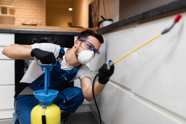 Best Local Pest Control Services  in Iowa, LA