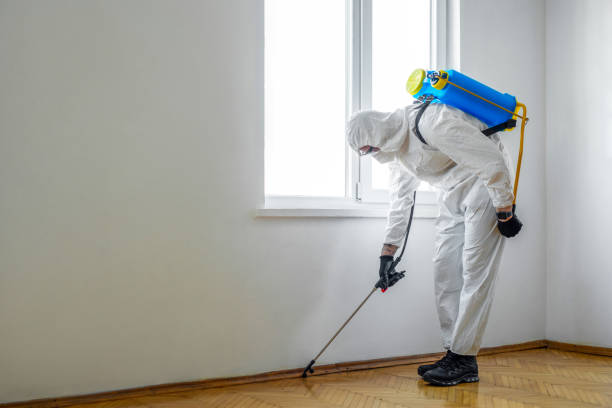 Best Pest Prevention Services  in Iowa, LA