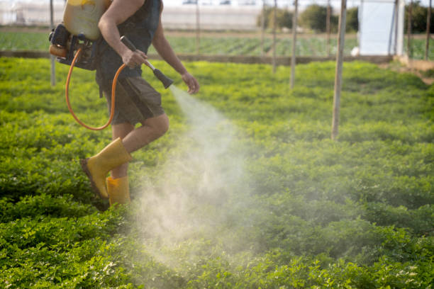 Best Pest Control for Restaurants  in Iowa, LA