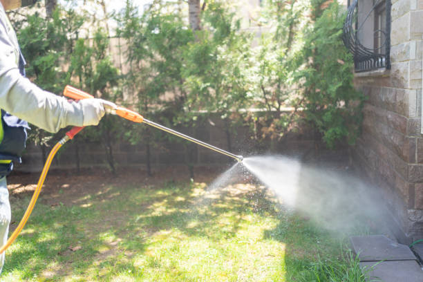 Best Emergency Pest Control  in Iowa, LA