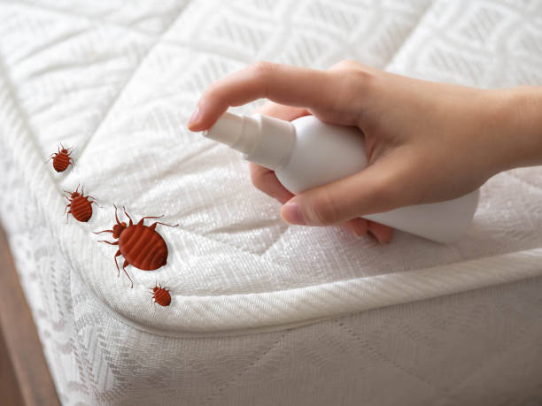Best Flea Control Services  in Iowa, LA