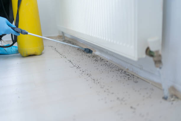 Best Exterminator Services  in Iowa, LA